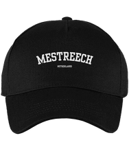 Afbeelding in Gallery-weergave laden, Mestreech City Pet