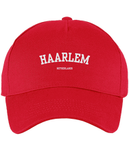 Afbeelding in Gallery-weergave laden, Haarlem City Pet