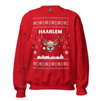 Haarlem Kersttrui