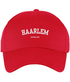 Haarlem City Pet