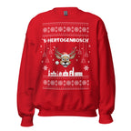 Rode Kersttrui s-hertogenbosch