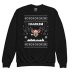 Haarlem Kersttrui | Kinderen